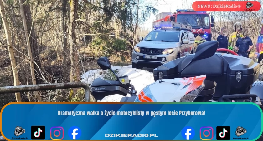 Motocyklista ranny w leśnym terenie Przyborowa – akcja ratunkowa utrudniona