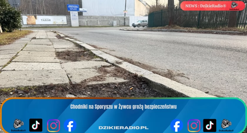 Chodniki na Sporyszu w Żywcu grożą bezpieczeństwu