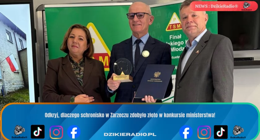 Schronisko w Zarzeczu z prestiżowym złotym wyróżnieniem ministerstwa