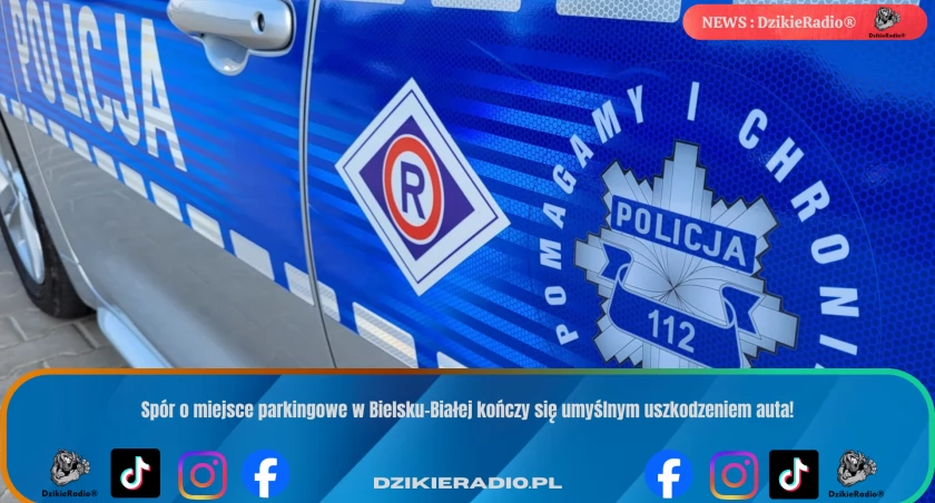 Szokujący atak na samochód w Bielsku-Białej! Kierowca zaatakował sąsiadkę