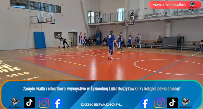 Niewiarygodny wynik! Big Bad Wolf rozbija przeciwników 117:22 w Żywieckiej Lidze Koszykówki