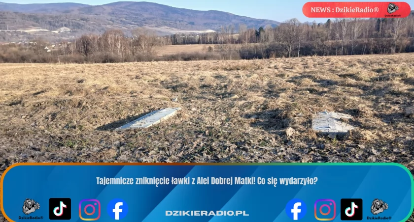 Zniknęła ławka z Alei Dobrej Matki – gmina szuka świadków