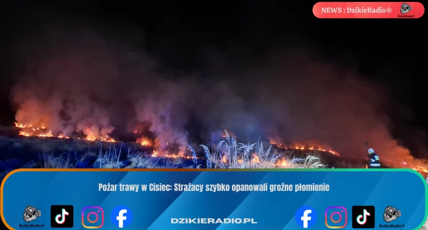 Pożar trawy w Cisiec: Strażacy szybko opanowali groźne płomienie