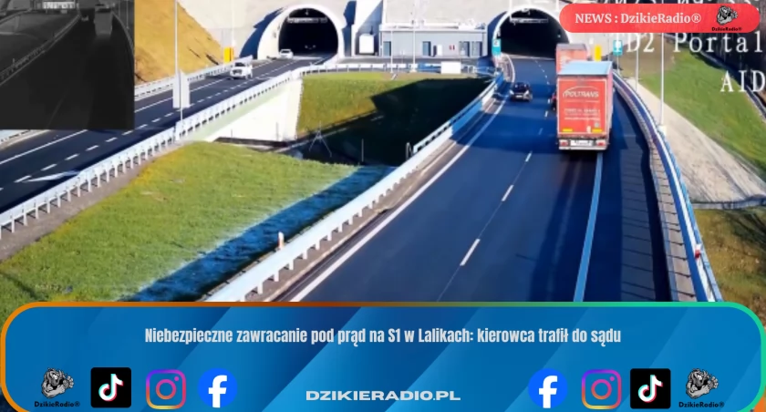 Niebezpieczne zawracanie pod prąd na S1 w Lalikach: kierowca trafił do sądu