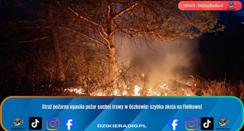 Straż pożarna ugasiła pożar suchej trawy w Oczkowie: szybka akcja na Fiołkowej