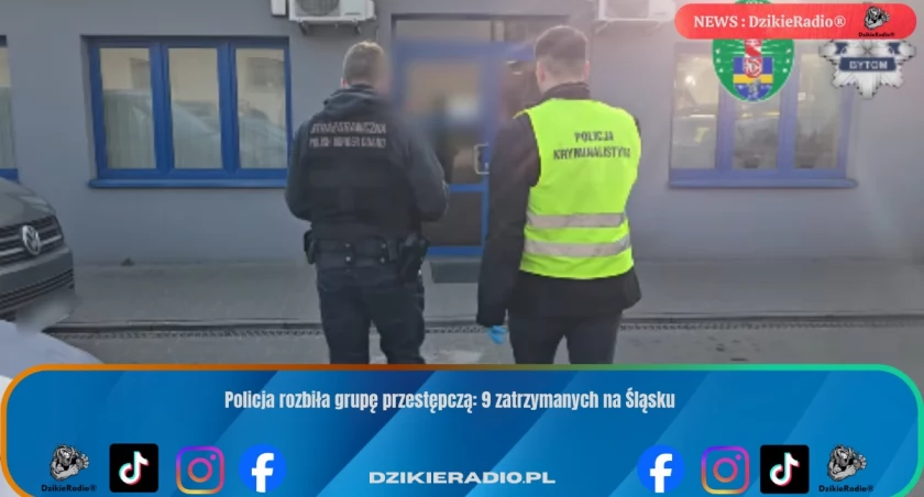 Policja rozbiła grupę przestępczą: 9 zatrzymanych na Śląsku