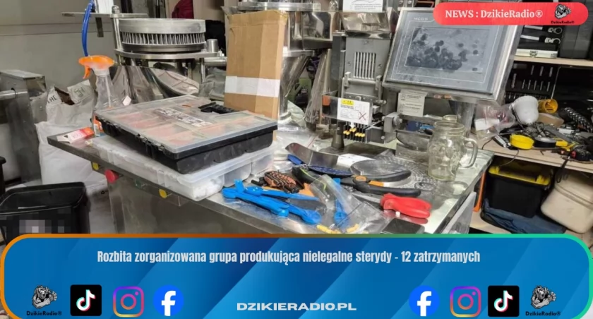 Rozbita zorganizowana grupa produkująca nielegalne sterydy – 12 zatrzymanych