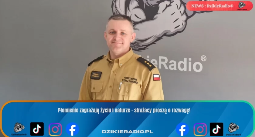 Pożary traw w Żywcu: liczba zdarzeń rośnie, strażacy biją na alarm