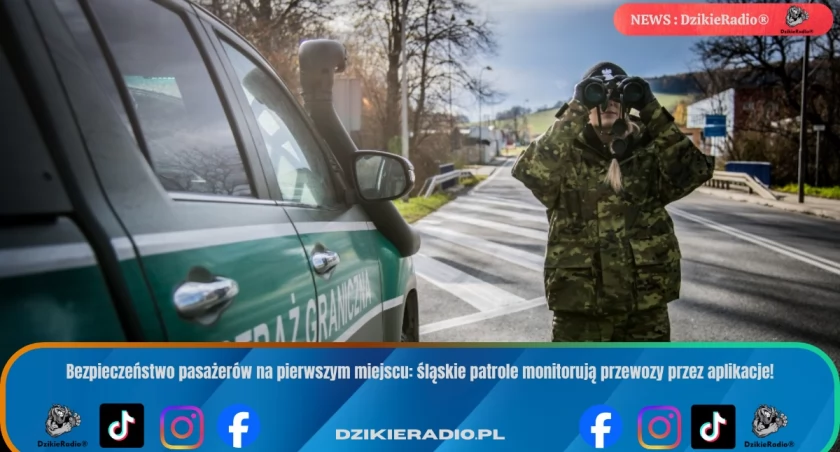 Śląskie kontrole przewozów przez aplikacje: Straż Graniczna i Policja na tropie nielegalnych kierowców