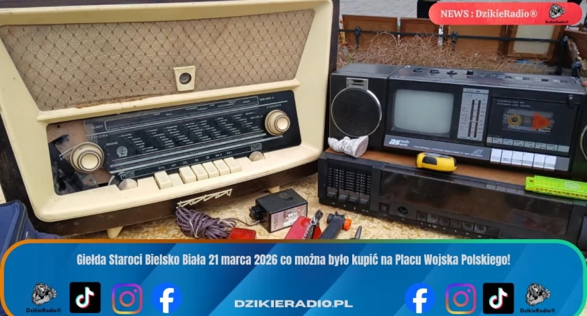 Odkryj skarby przeszłości na Targu Staroci w Bielsku-Białej! Nie przegap kolejnych edycji!