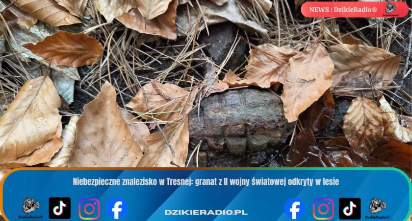 Niebezpieczne znalezisko w Tresnej: granat z II wojny światowej odkryty w lesie