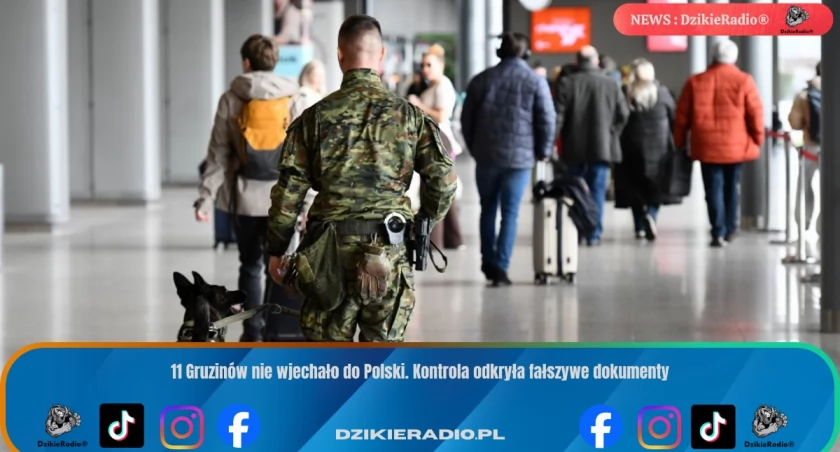 11 Gruzinów nie wjechało do Polski. Kontrola odkryła fałszywe dokumenty