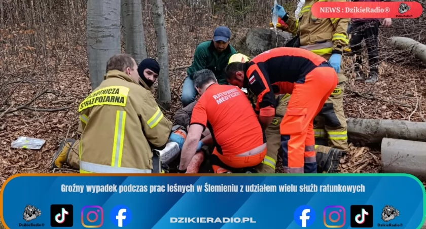 Groźny wypadek podczas prac leśnych w Ślemieniu z udziałem wielu służb ratunkowych
