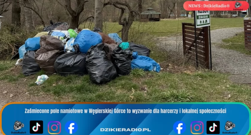 Harcerze z Węgierskiej Górki apelują o czystość na polu namiotowym