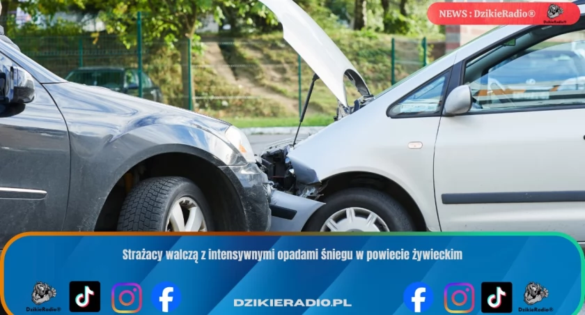 Zdarzenie drogowe w Lipowej na ulicy Poddzielec z udziałem służb ratunkowych