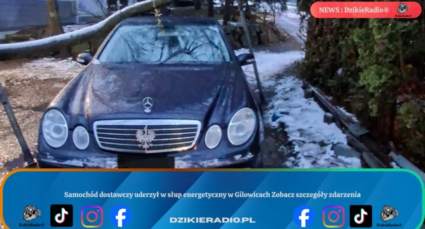 Powalone drzewo uszkodziło samochód w Brzuśniku szybka interwencja służb
