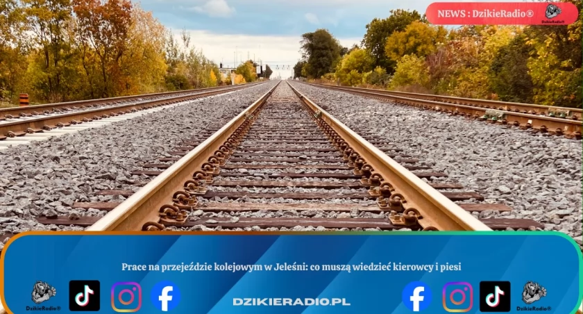 Prace na przejeździe kolejowym w Jeleśni: co muszą wiedzieć kierowcy i piesi