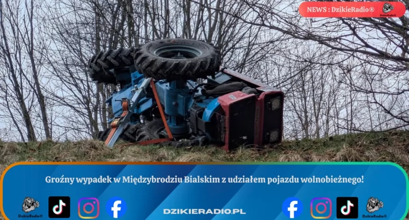 Wywrotka pojazdu w Międzybrodziu Bialskim. Jedna osoba trafiła do szpitala