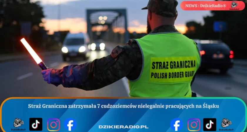 Straż Graniczna zatrzymała 7 cudzoziemców nielegalnie pracujących na Śląsku