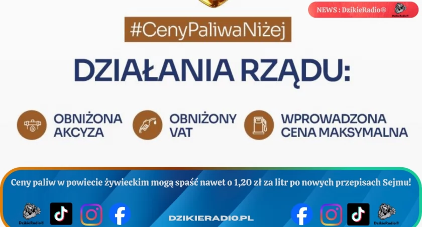 Sejm wprowadza nowe przepisy, które obniżą ceny paliw na stacjach.