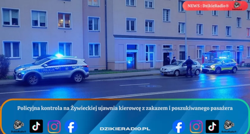 Policyjna kontrola na Żywieckiej ujawnia kierowcę z zakazem i poszukiwanego pasażera