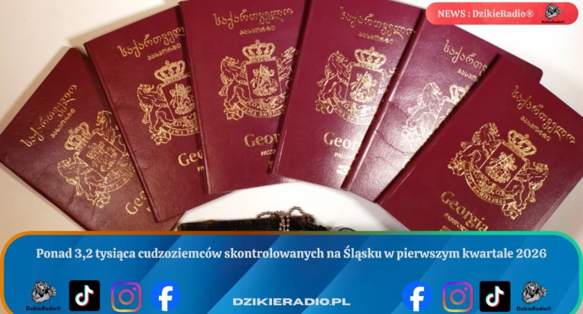 Ponad 3,2 tysiąca cudzoziemców skontrolowanych na Śląsku w pierwszym kwartale 2026
