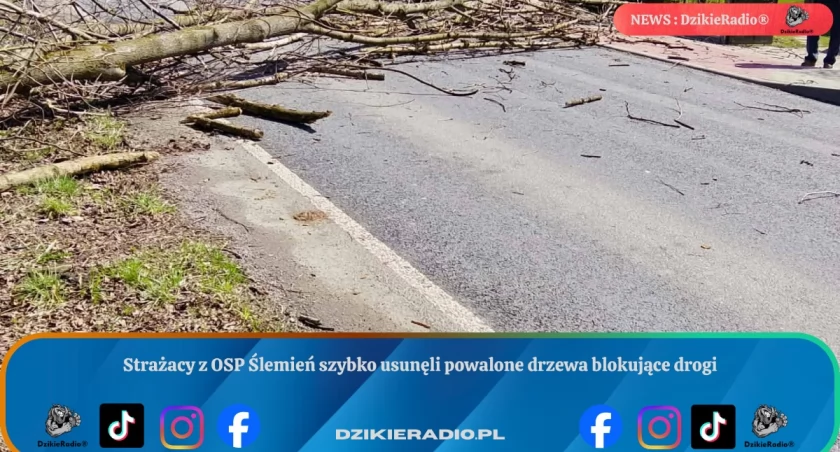 Strażacy z OSP Ślemień szybko usunęli powalone drzewa blokujące drogi