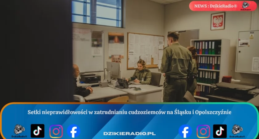 Setki nieprawidłowości w zatrudnianiu cudzoziemców na Śląsku i Opolszczyźnie