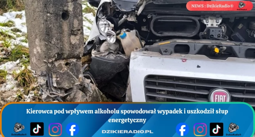 Kierowca pod wpływem alkoholu spowodował wypadek i uszkodził słup energetyczny