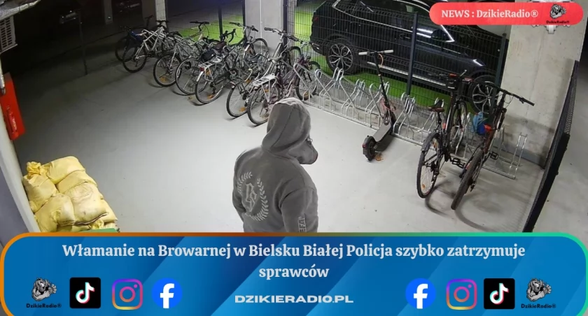 Włamanie na Browarnej w Bielsku Białej Policja szybko zatrzymuje sprawców