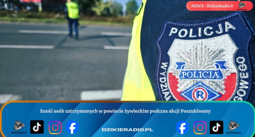 Sześć osób zatrzymanych w powiecie żywieckim podczas akcji Poszukiwany