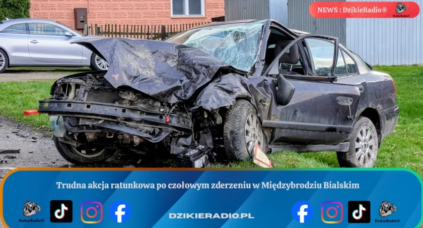 Czołowe zderzenie w Międzybrodziu Bialskim wymagało wielogodzinnej akcji ratunkowej