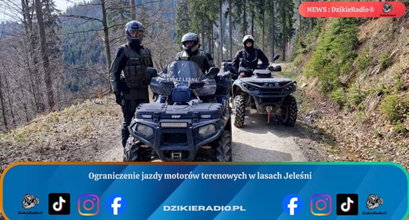 Policja i Straż Leśna walczą z nielegalnym wjazdem do lasów w Jeleśni