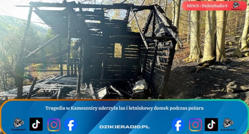 Groźny pożar w Kamesznicy zniszczył las i domek letniskowy