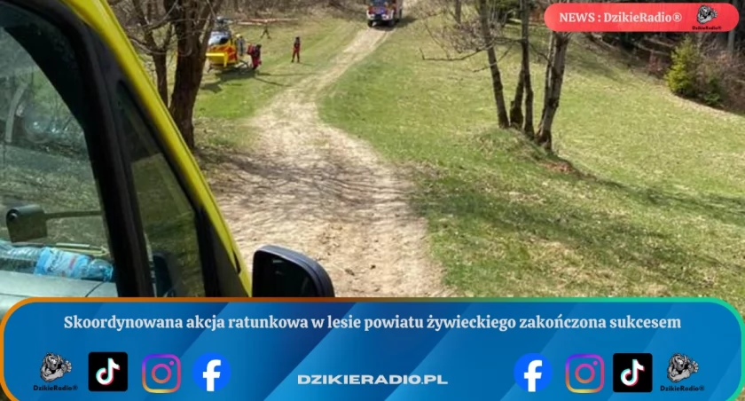Skoordynowana akcja ratunkowa w lesie powiatu żywieckiego zakończona sukcesem