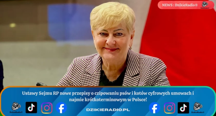 Większe bezpieczeństwo i cyfryzacja – co zmienia 55. posiedzenie Sejmu w codziennym życiu?