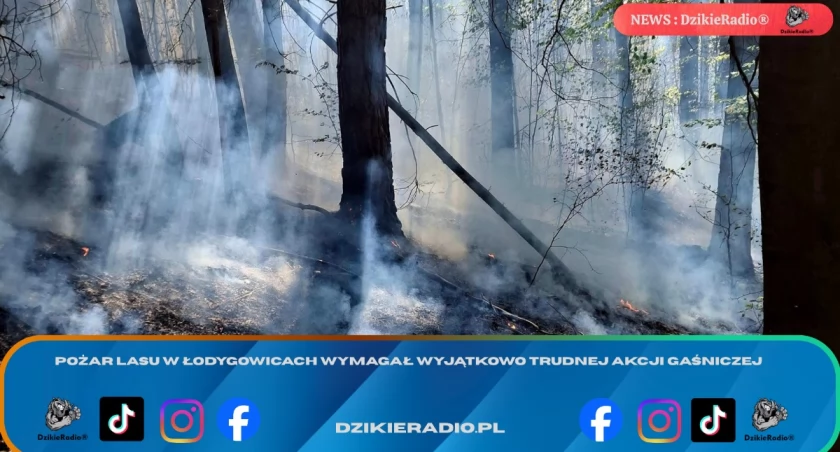Pożar lasu w Łodygowicach wymagał wyjątkowo trudnej akcji gaśniczej
