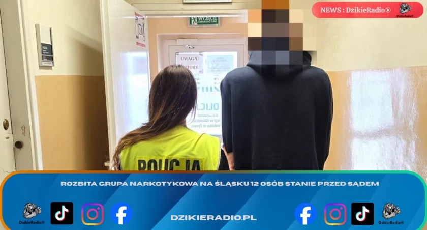 Rozbita grupa narkotykowa na Śląsku 12 osób stanie przed sądem