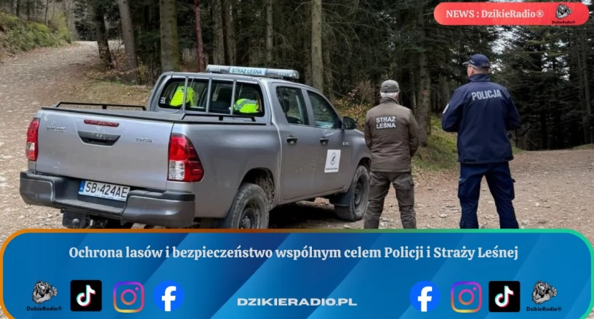 Wspólne patrole Policji i Straży Leśnej walczą z nielegalnymi wjazdami do lasów