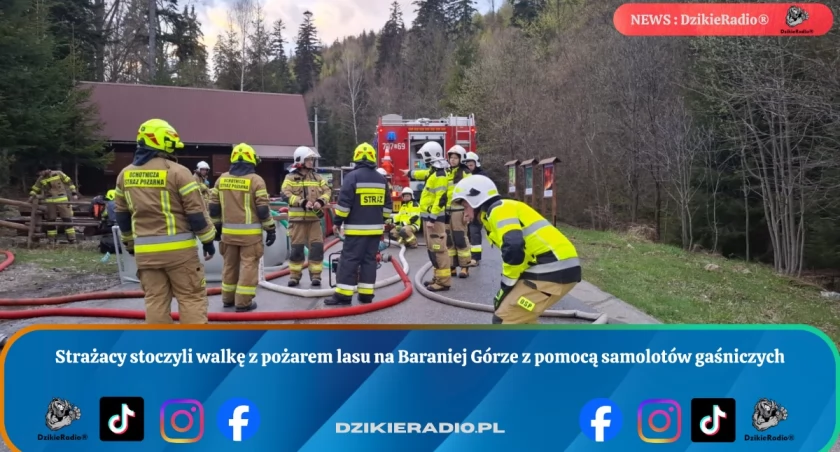 Pożar lasu na Baraniej Górze wymagał akcji kilkudziesięciu strażaków