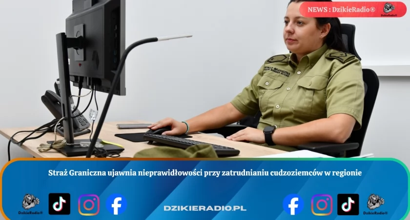 Straż Graniczna ujawnia nieprawidłowości przy zatrudnianiu cudzoziemców w regionie