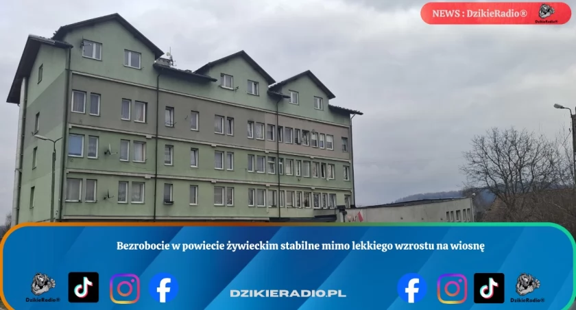 Bezrobocie w powiecie żywieckim stabilne mimo lekkiego wzrostu na wiosnę