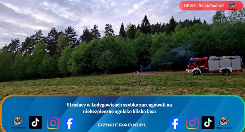 Strażacy w Łodygowicach szybko zareagowali na niebezpieczne ognisko blisko lasu