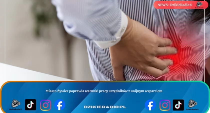 Miasto Żywiec poprawia warunki pracy urzędników z unijnym wsparciem