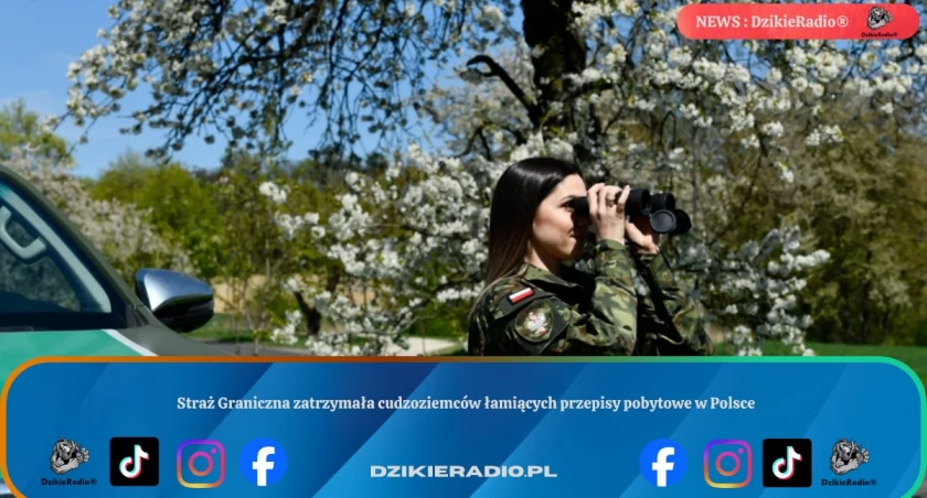 Straż Graniczna zatrzymała cudzoziemców łamiących przepisy pobytowe w Polsce