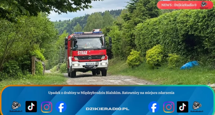 Upadek z drabiny w Międzybrodziu Bialskim. Ratownicy na miejscu zdarzenia