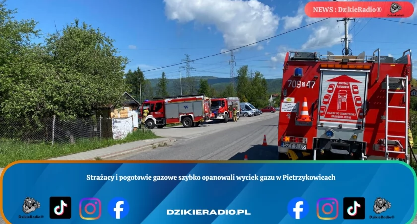 Strażacy i pogotowie gazowe szybko opanowali wyciek gazu w Pietrzykowicach