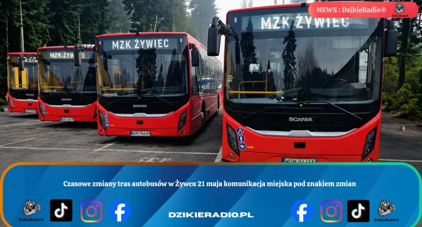 Czasowe zmiany tras autobusów w Żywcu 21 maja komunikacja miejska pod znakiem zmian
