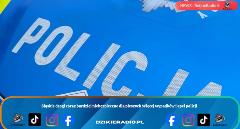Śląskie drogi coraz bardziej niebezpieczne dla pieszych Więcej wypadków i apel policji