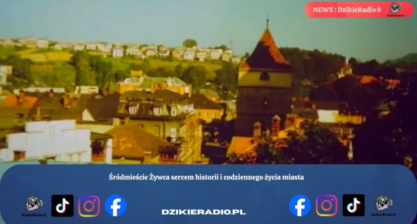 Śródmieście Żywca sercem historii i codziennego życia miasta